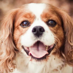 Picture of Riya Agarwal