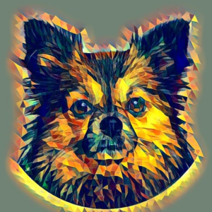 Picture of Souvik Ghosh