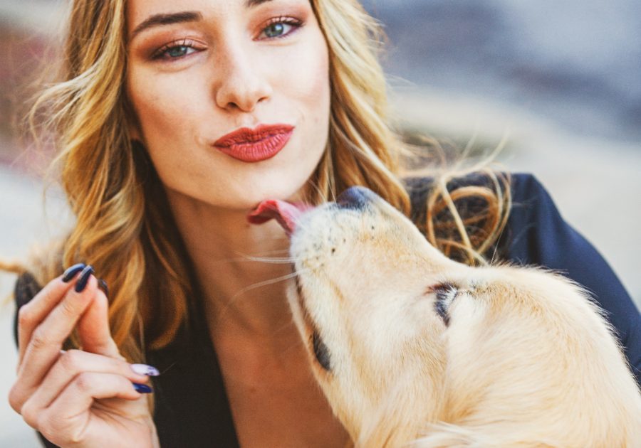 Dogs Love Licking Humans