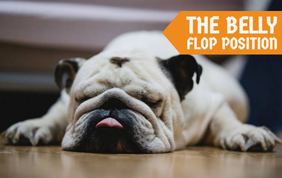 The Belly Flop Position The Belly Flop Position