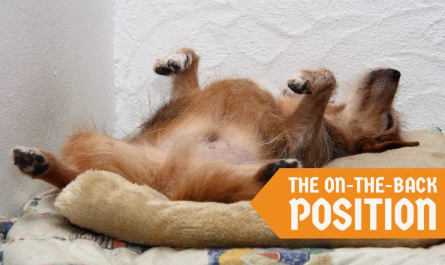 The On-the-Back Position The On-the-Back Position